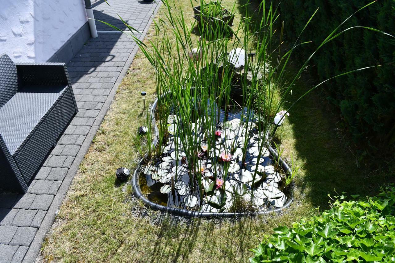 Ferienwohnung Bellerbergblick Ettringen  Eksteriør bilde